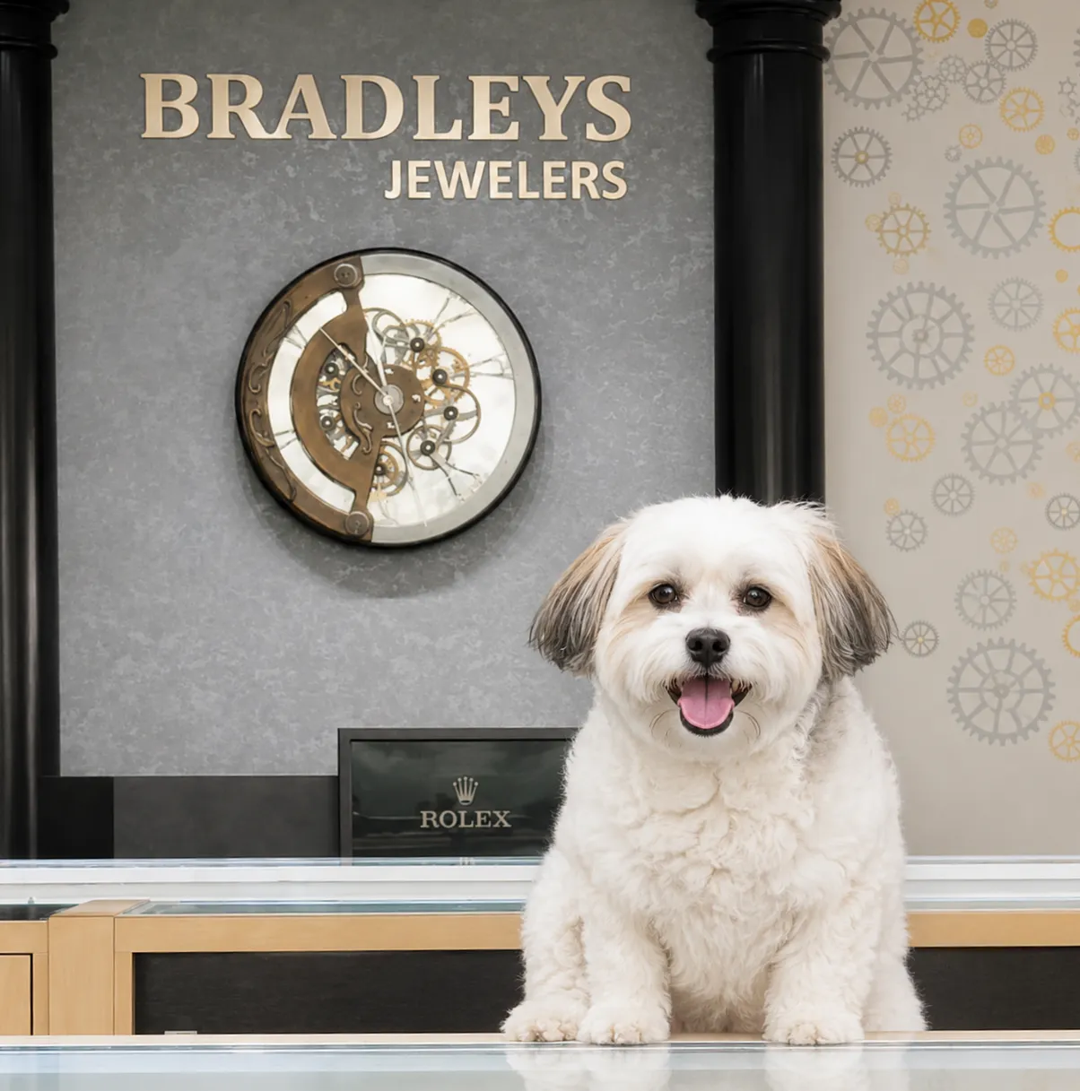 Mistletoe V.P. In Charge Of Everything Bradleys Jewelers Jacksonville, NC