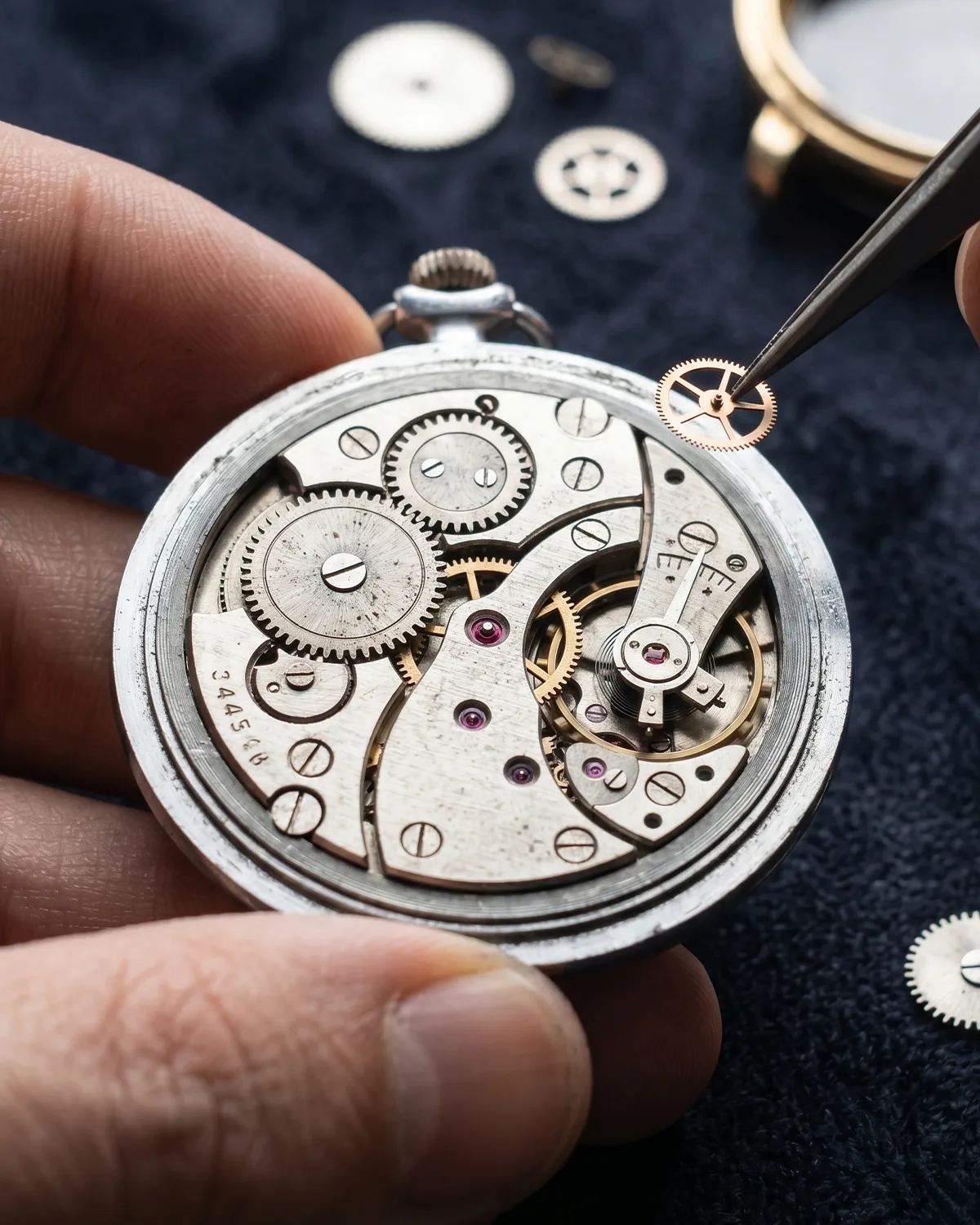 Watch mechanism being repaired with tweezers. Learn more about watch repair.
