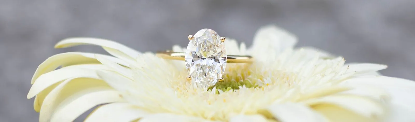 Carroll / Ochs Jewelers Monroe, MI