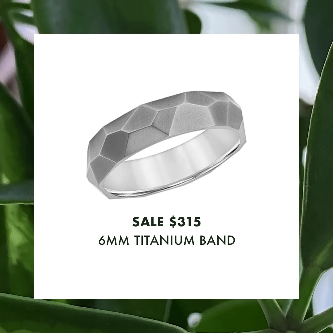 Faceted Titanium Wedding Band