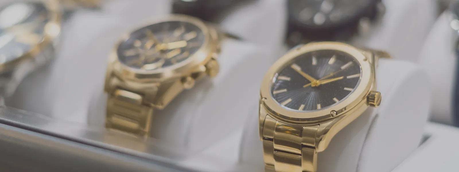 Cardenas Brothers Q&A  CBC Fine Jewelers El Paso, TX