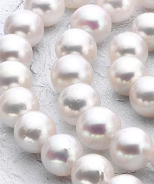 Sale  Charles Frederick Jewelers Chelmsford, MA