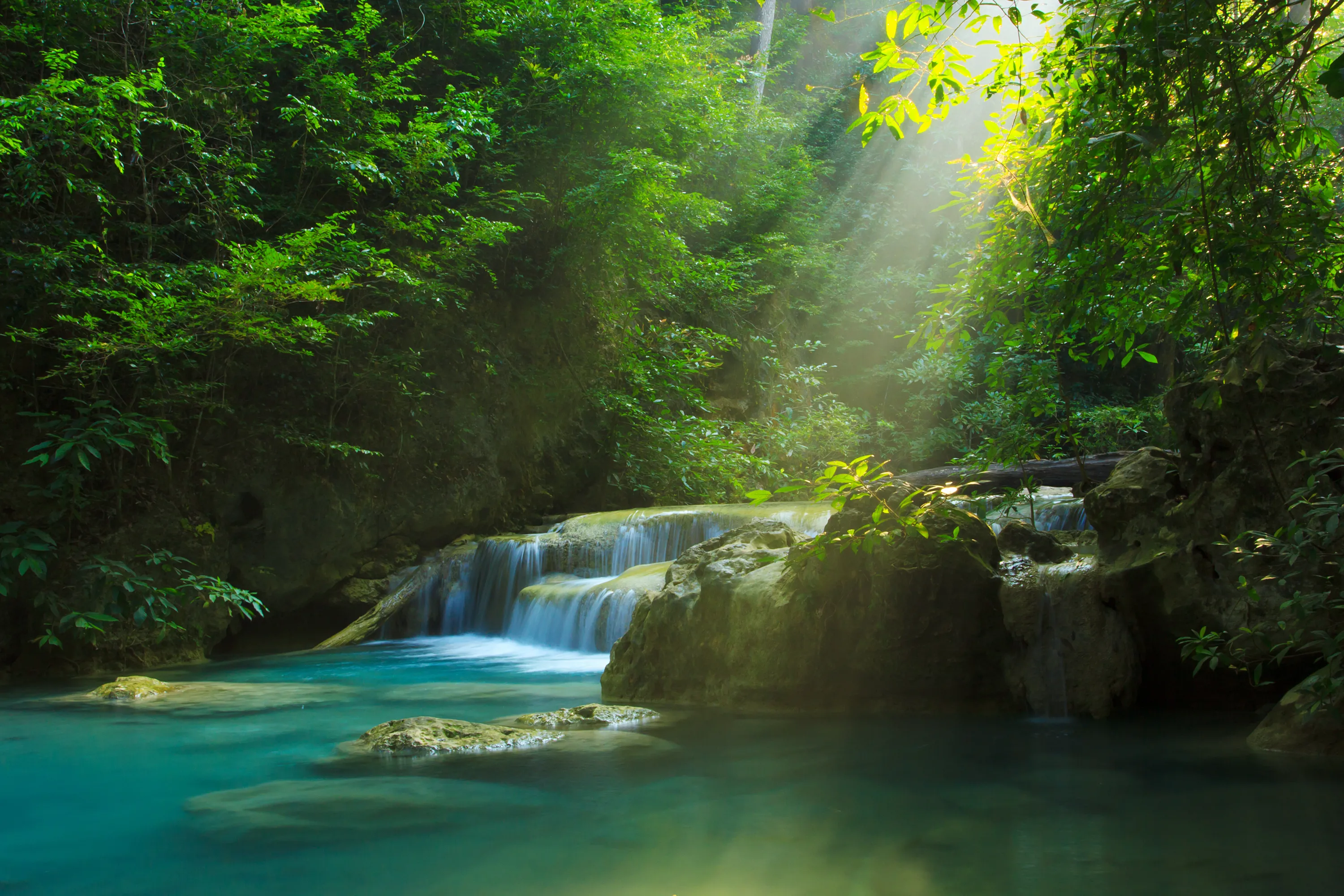 Responsibility is a journey, not a destination.