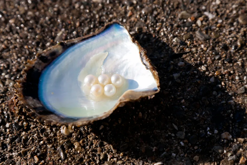June Birthstone - Pearl