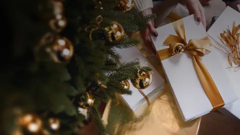 Give the Perfect Giftthis Holiday Season!