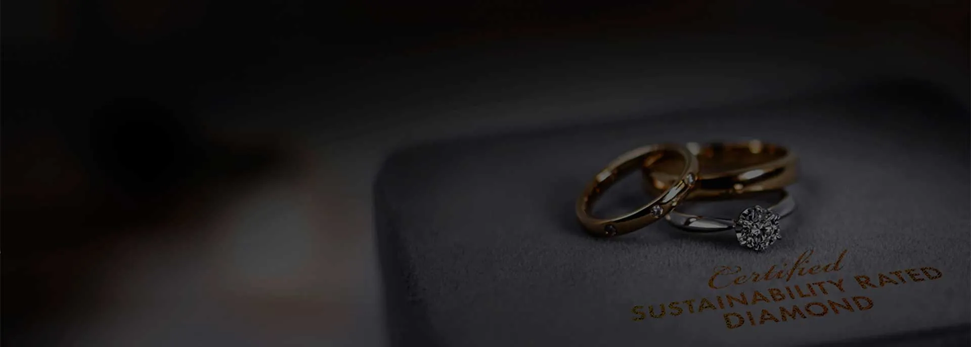 Sustainability Rated Diamonds you can trust and cherish for a lifetime David Douglas Diamonds & Jewelry Marietta, GA
