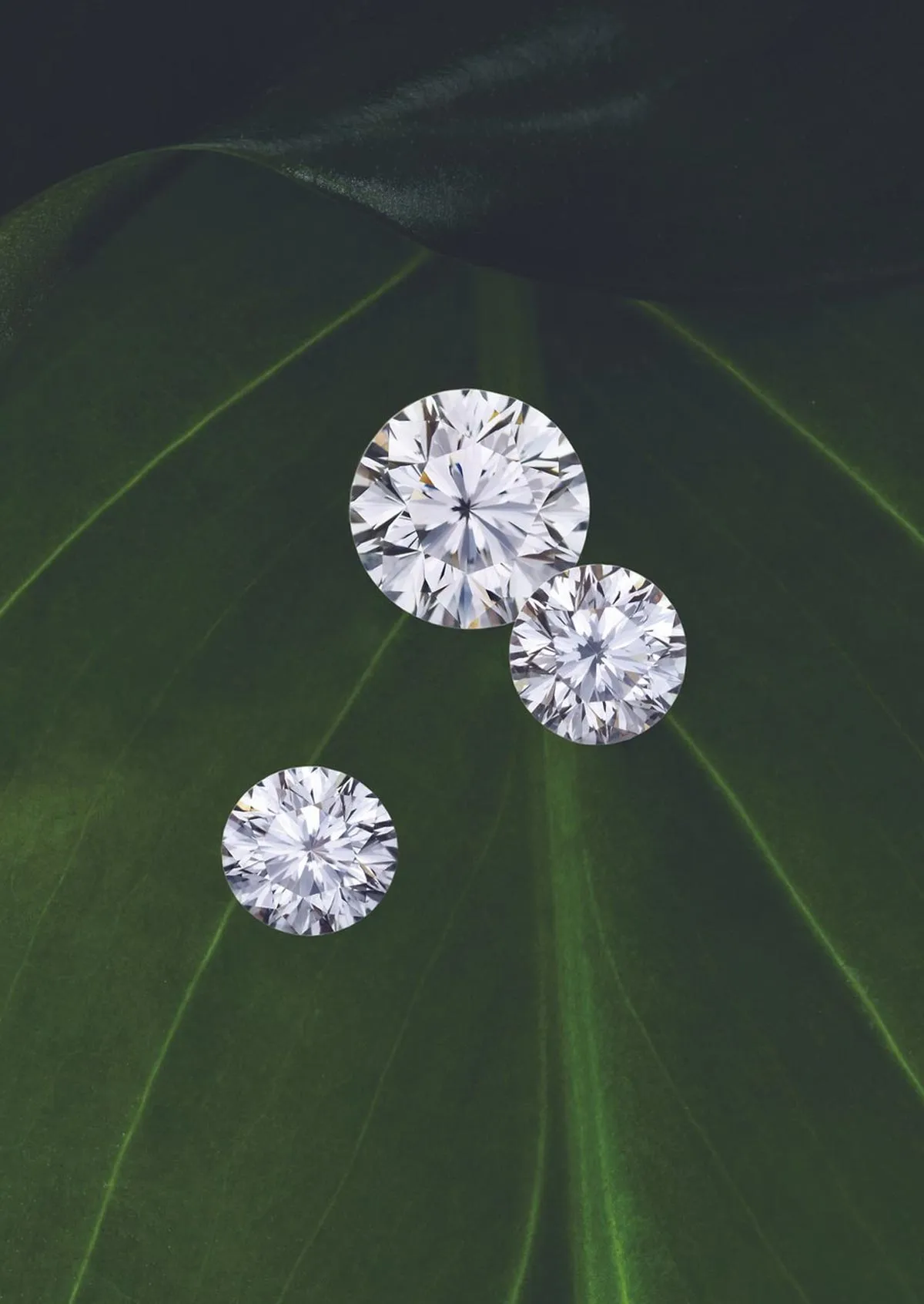 Round  David Douglas Diamonds & Jewelry Marietta, GA