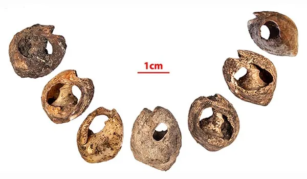 150,000-Year-Old Jewelry Represents Earliest Form of Widespread Human Communicat