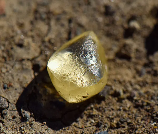 Retiree Finds 4.38-Carat Yellow Diamond at Arkansas Park Within 1 Hour of Search