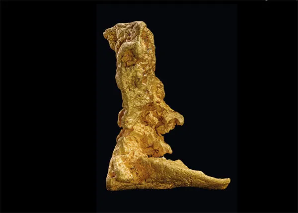 Historic 26.2-Pound 'Boot of Cortez' Gold Nugget Returns to Auction Block