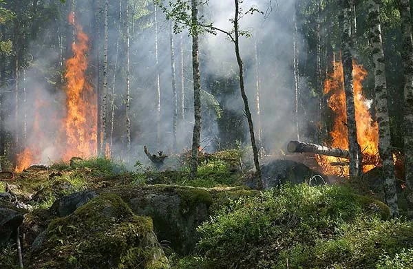 Diavik Mine Supports Wildfire Relief in Northwest Territories With $185K Donatio