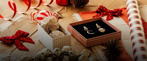 OUR HOLIDAY GIFT GUIDE HAS JUST ARRIVED!