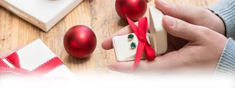 OUR HOLIDAY DEALS HAVE JUST ARRIVED!