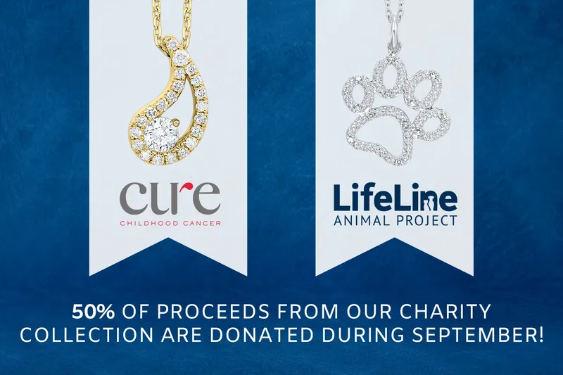 Read article: Giving Back During September&#160;