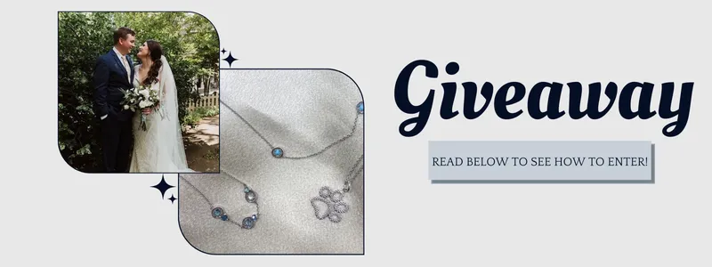 Read article: DGS Giveaway! Giveaway closed!