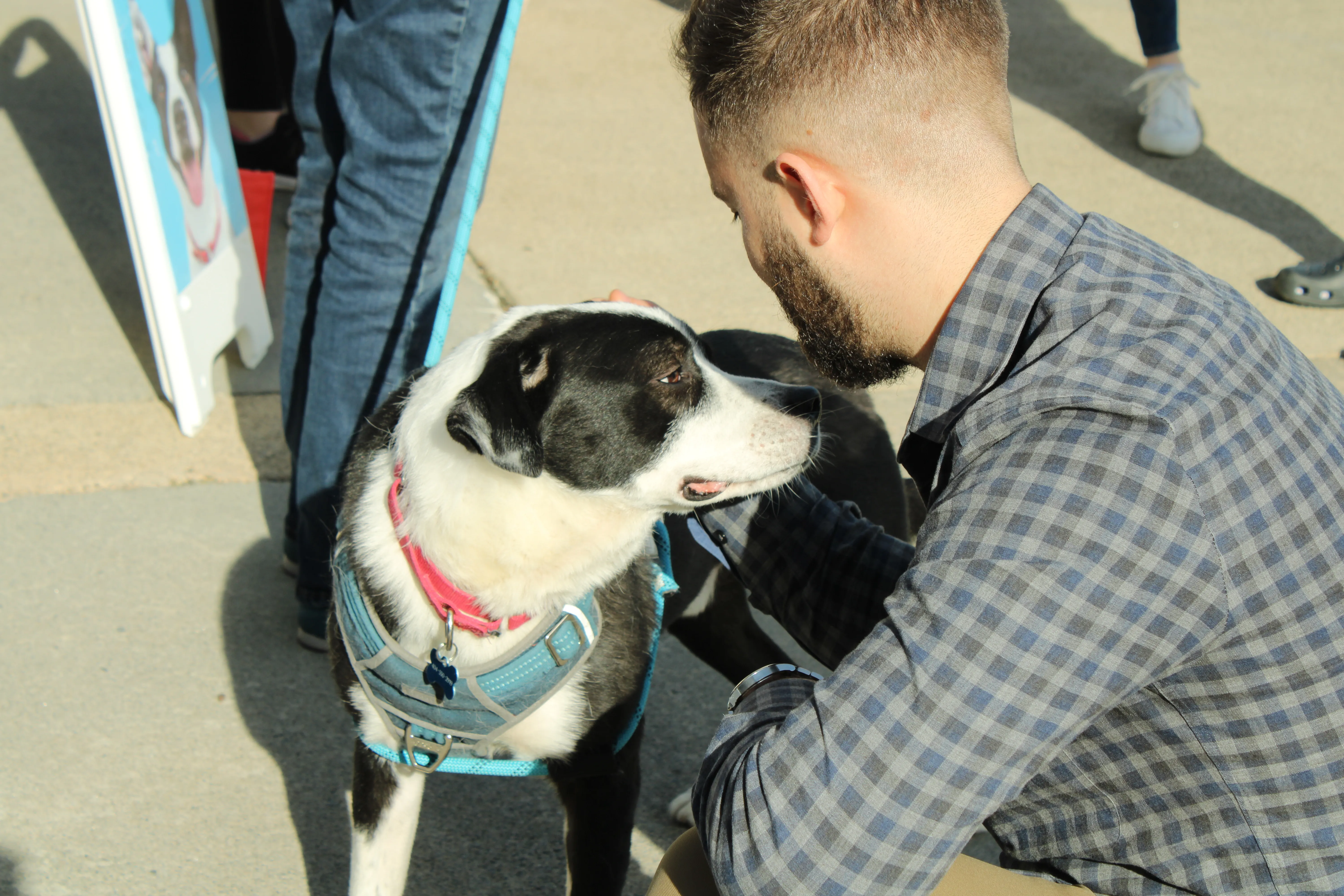 D. Geller & Son Jewelers Atlanta, GA