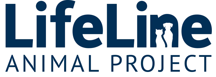 D. Geller & Son Jewelers Atlanta, GA