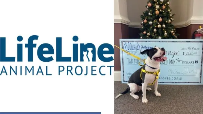 Community Involvement: The LifeLine Animal Project