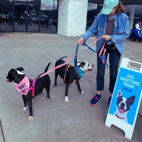 D. Geller & Son Jewelers Atlanta, GA