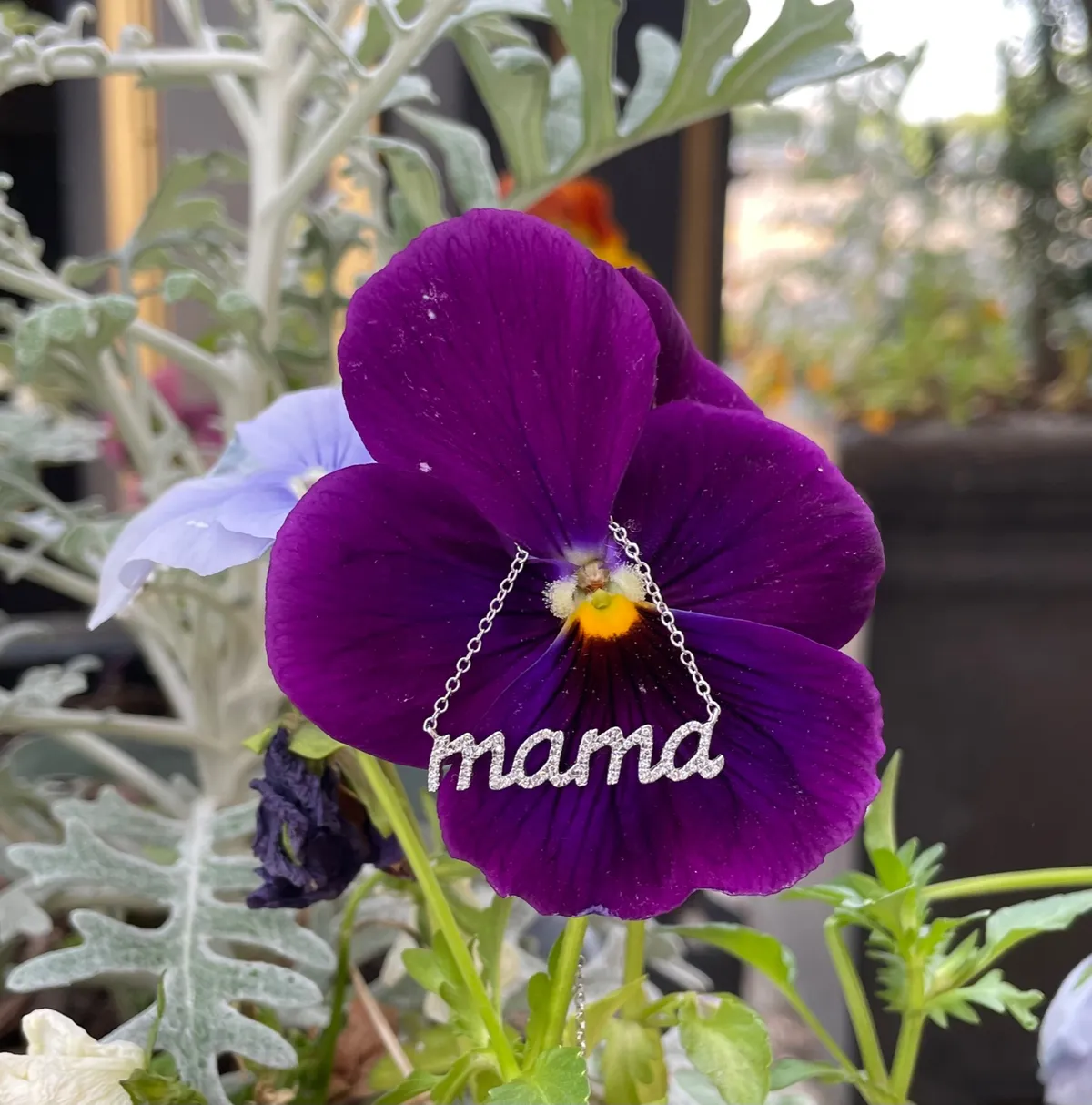 Celebrate Mom with these great gifts