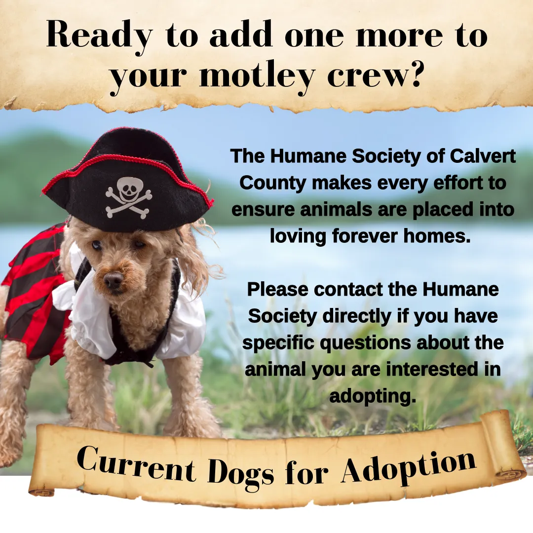 Dickinson Jewelers Dunkirk, MD