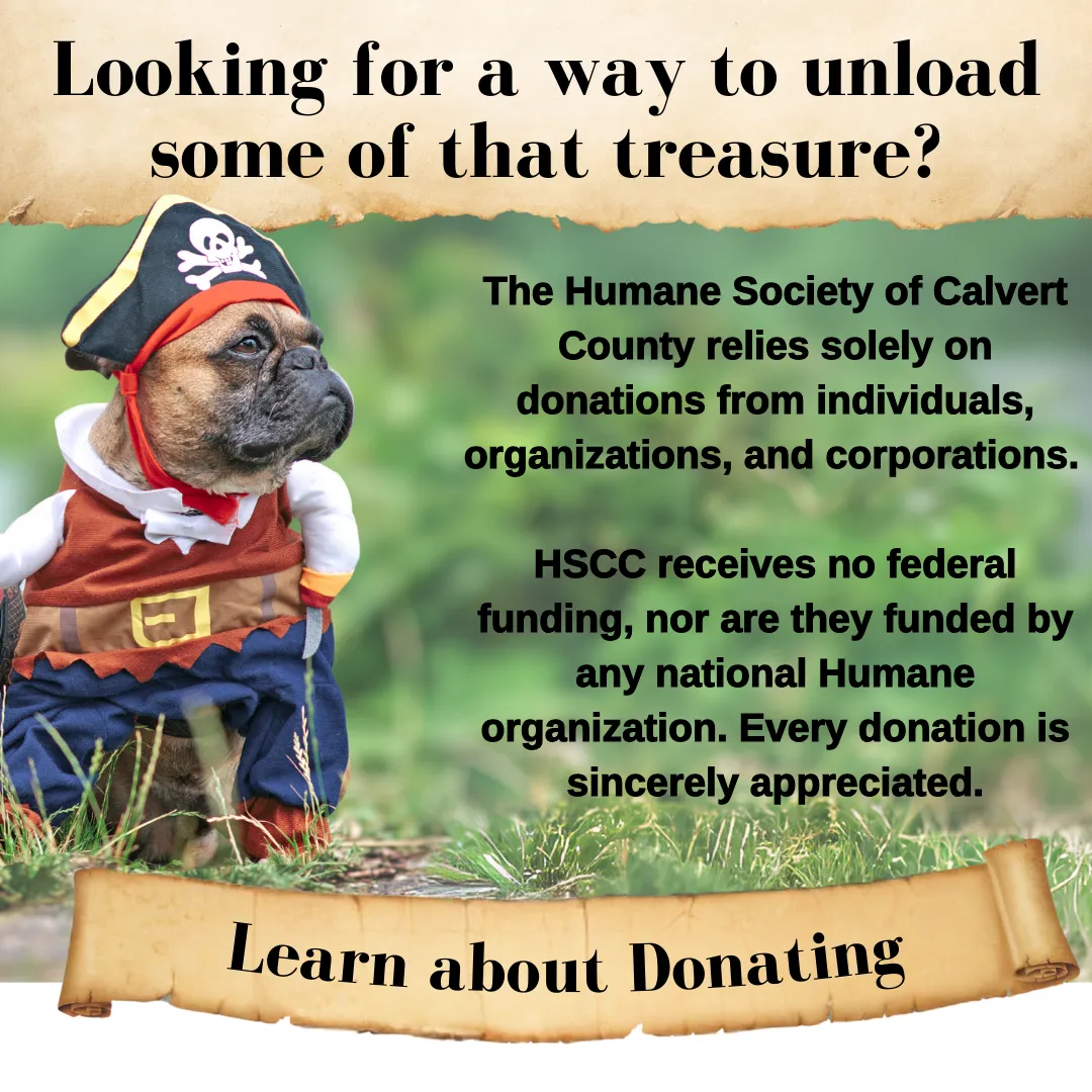 Dickinson Jewelers Dunkirk, MD