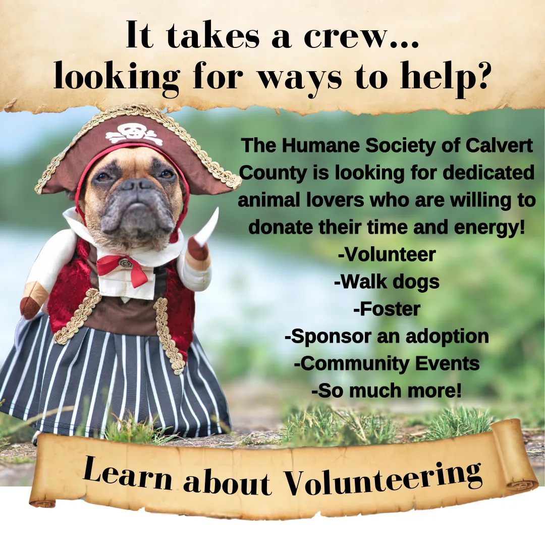 Dickinson Jewelers Dunkirk, MD