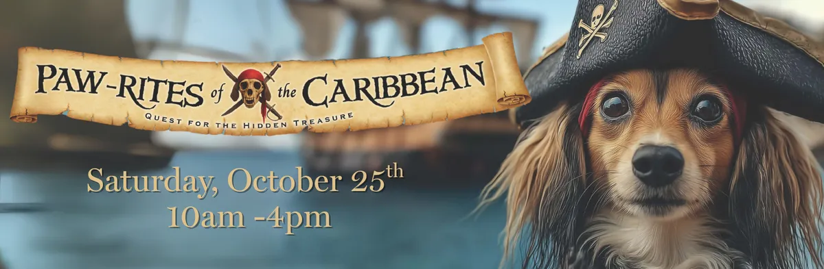  A Swashbuckling Good Time at the Howl-O-Ween Party