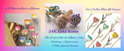 Homepage slide 4