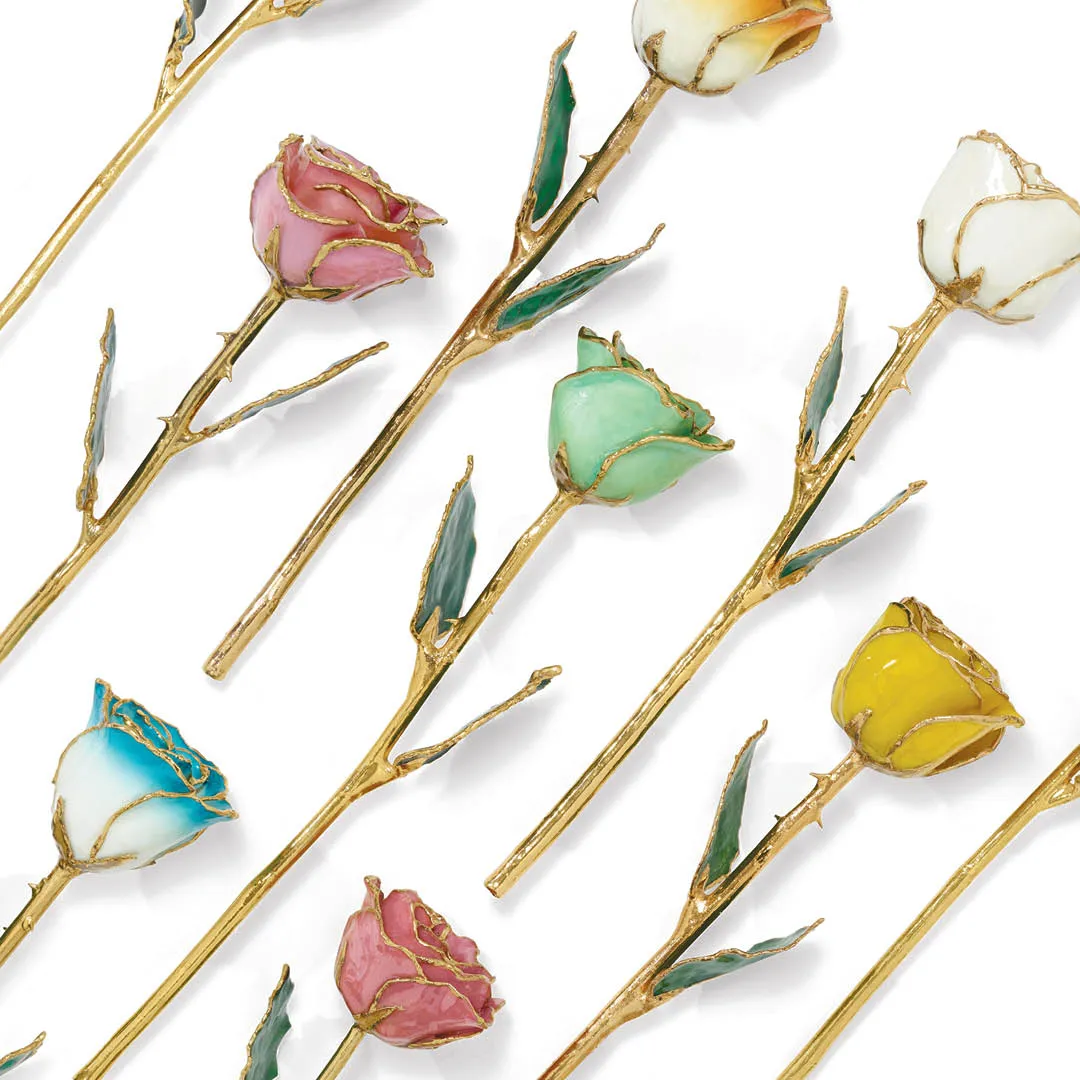 Earrings  Donderos Jewelry Vineland, NJ
