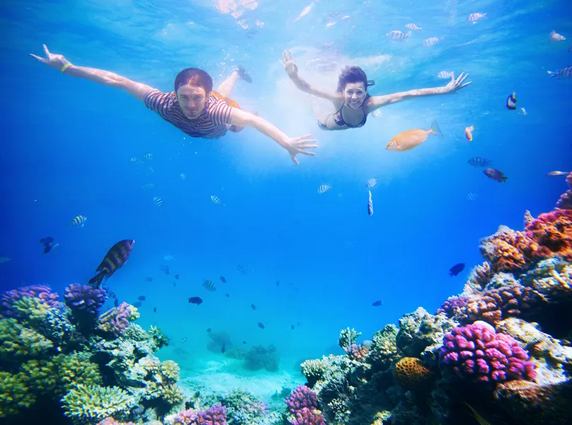 Swimming Getaway