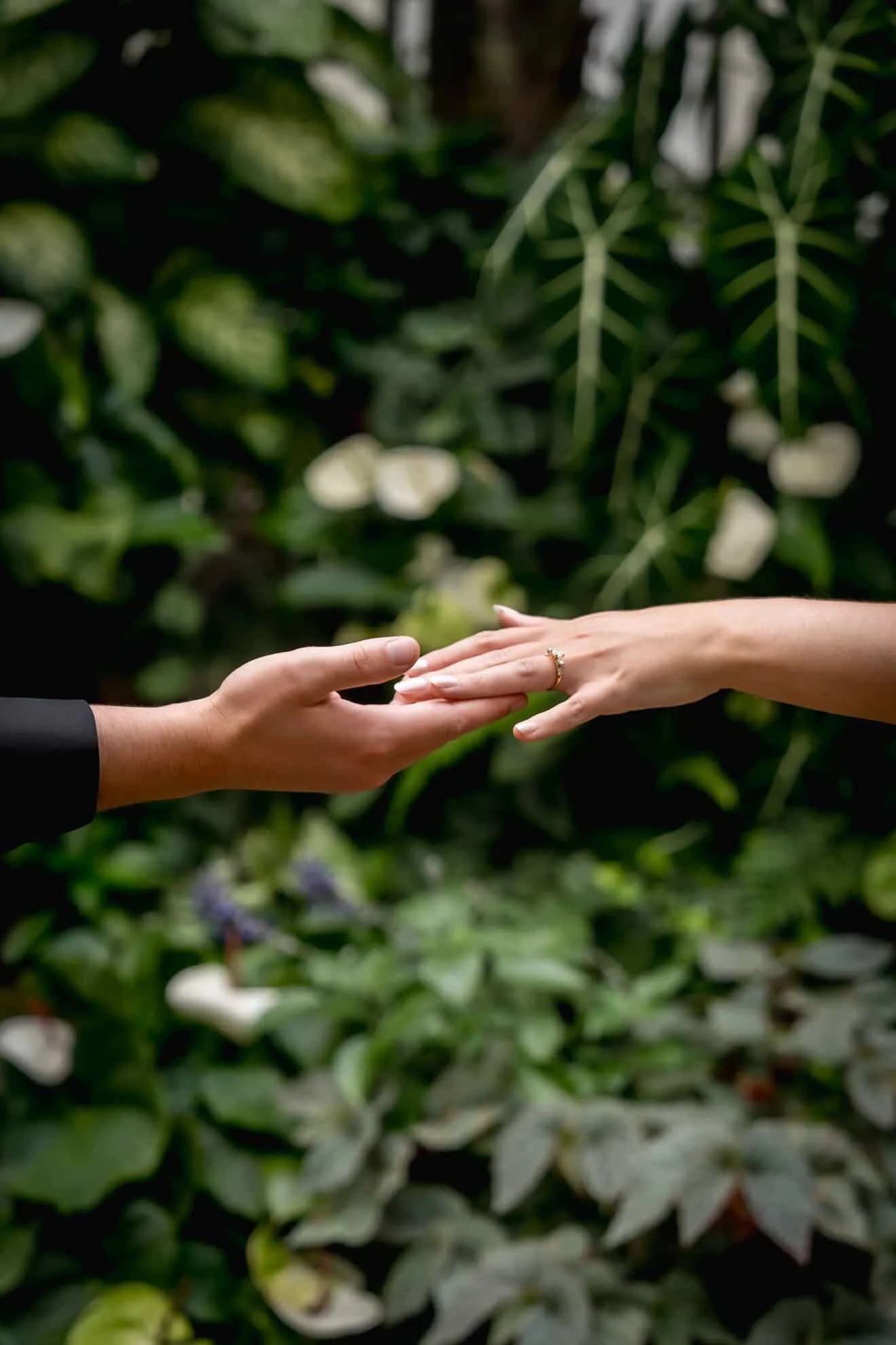 Two hands reaching towards each other, one with a ring. Get an appointment for a bridal consultation at Falls Jewelers!