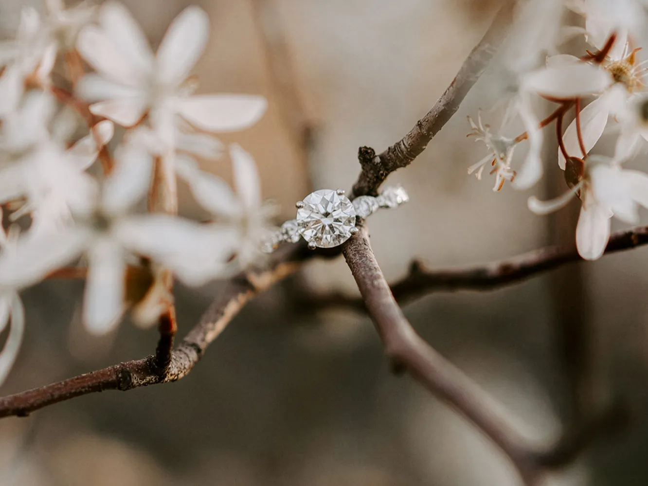 A diamond engagement ring nestled among delicate white flowers on a branch.