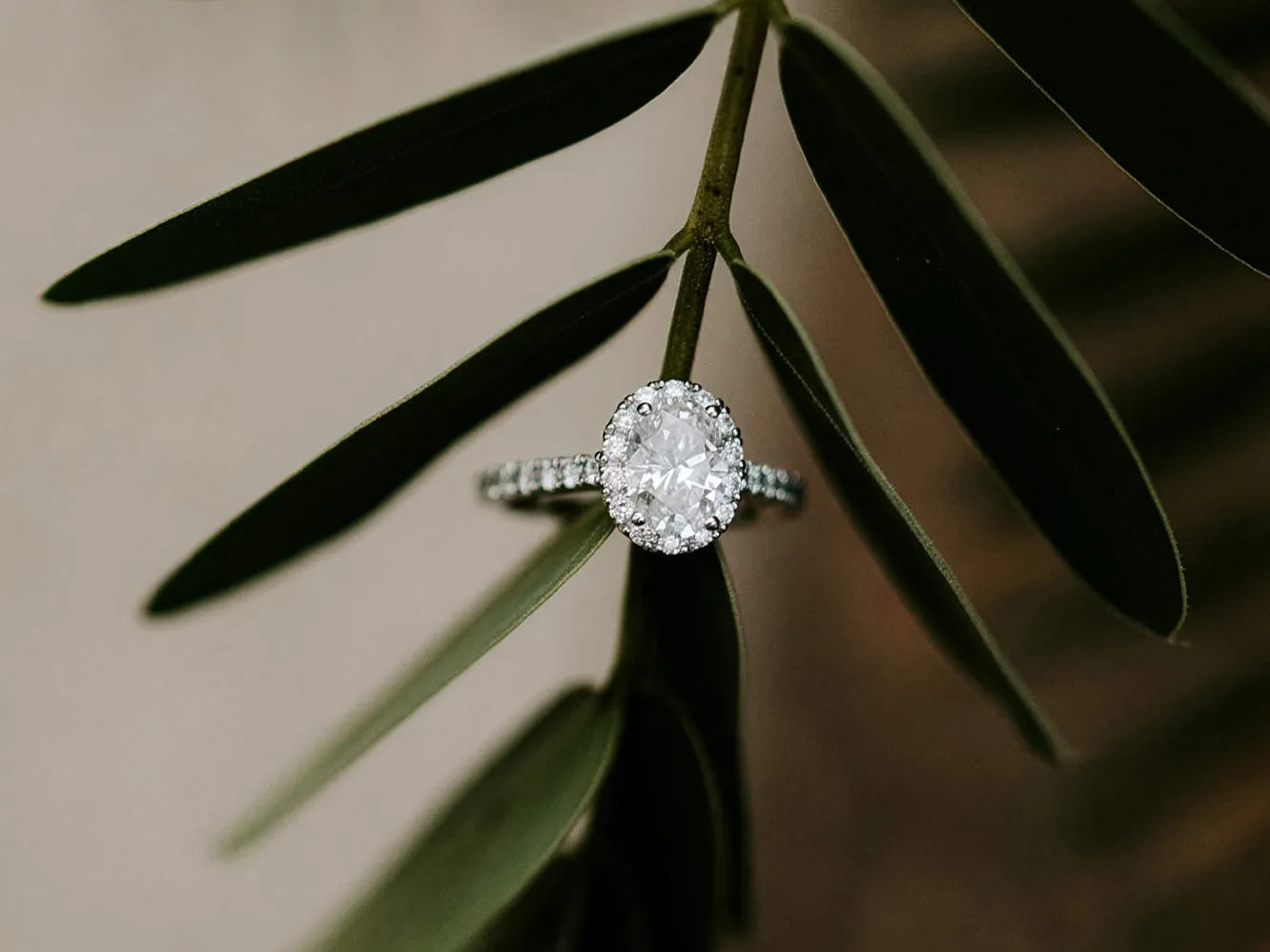 Elegant diamond engagement ring resting on a green leaf. Click to explore more at Flora Gems, Decatur & Champaign, IL.
