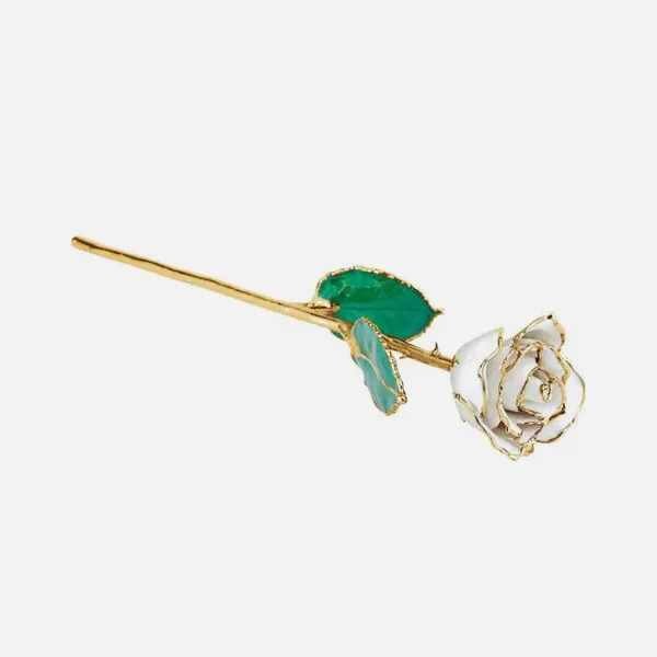 Collectibles | Forever Young Fine Jewelers St. George, UT