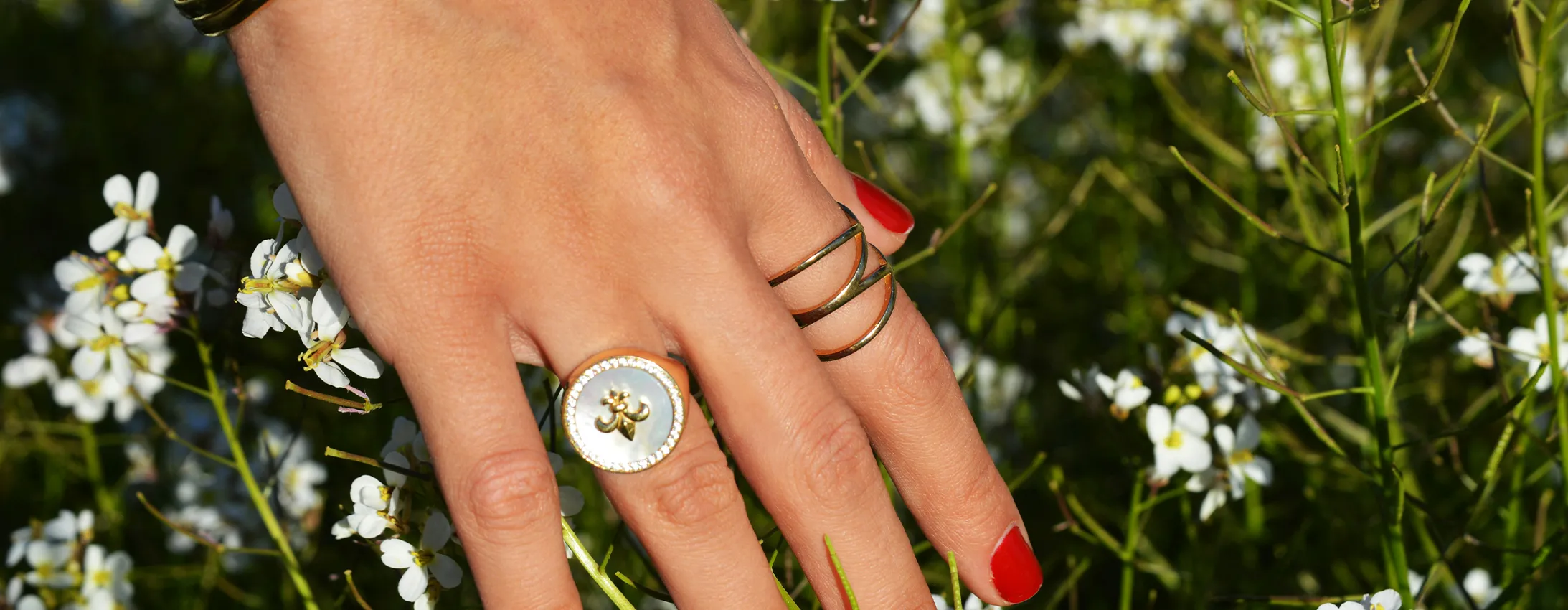 Hand with red nails wearing gold rings, surrounded by small white flowers.
