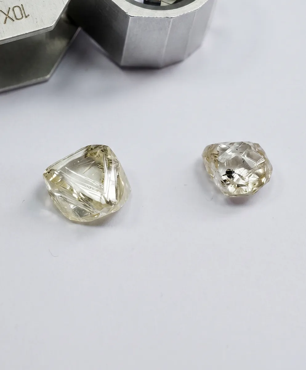 Two rough, uncut diamonds on a white surface near a metal tool.