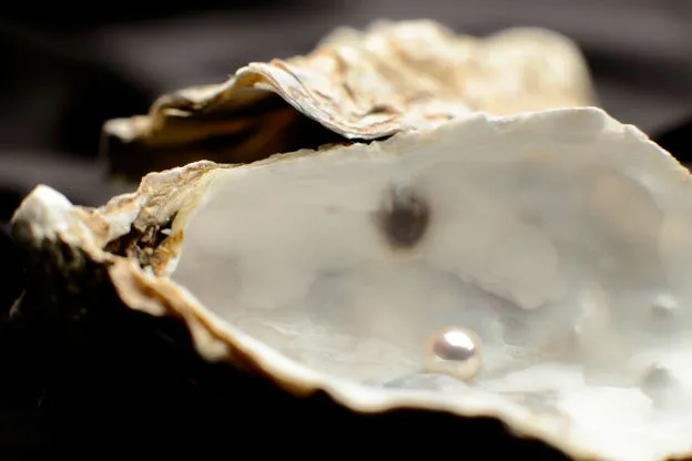 Birthstone Series: June's Pearl