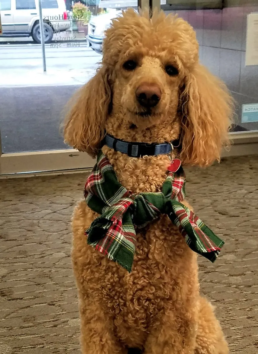 Wear Plaid  Holly McHone Jewelers Astoria, OR