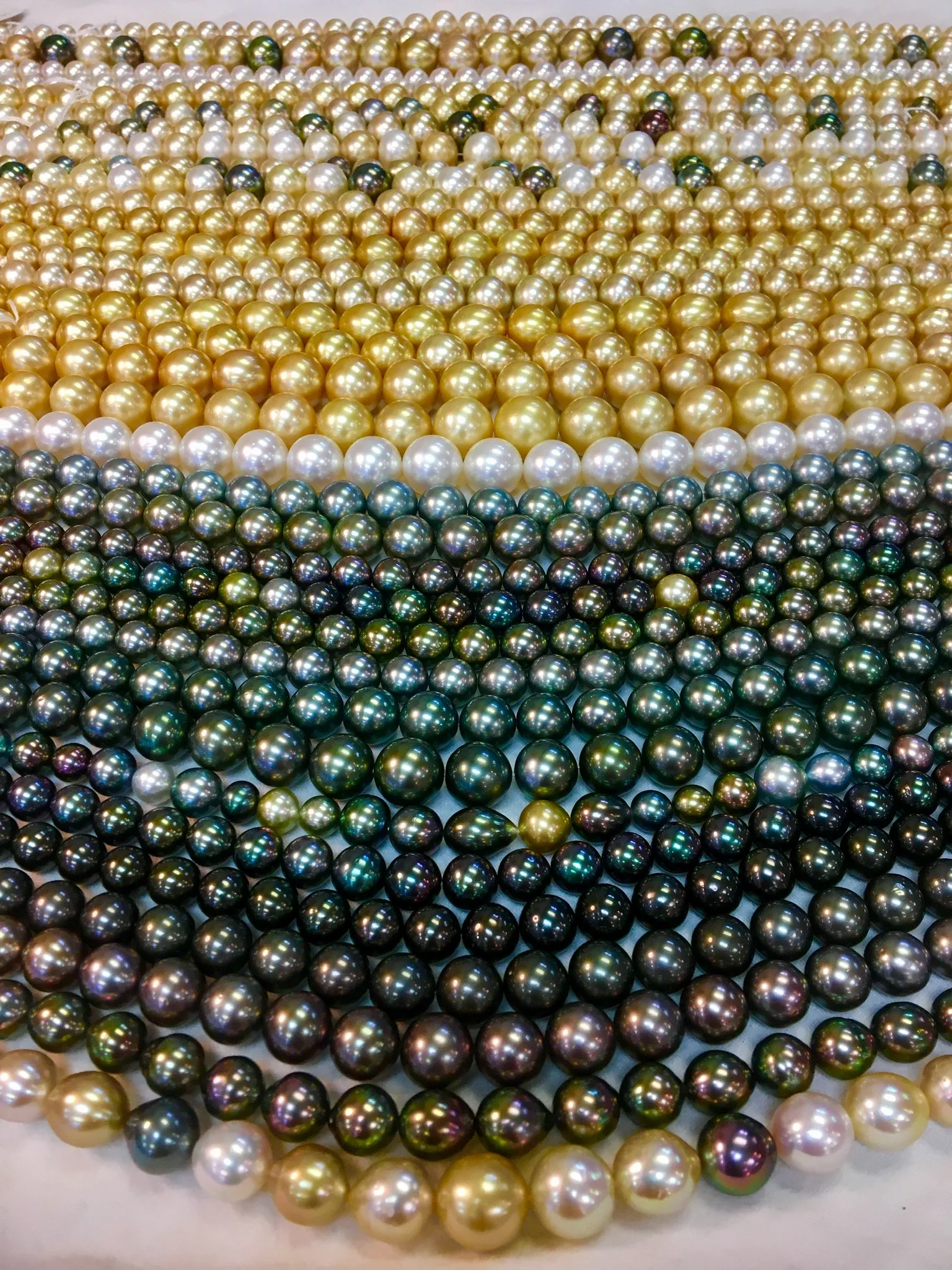 Holly McHone Jewelers Astoria, OR