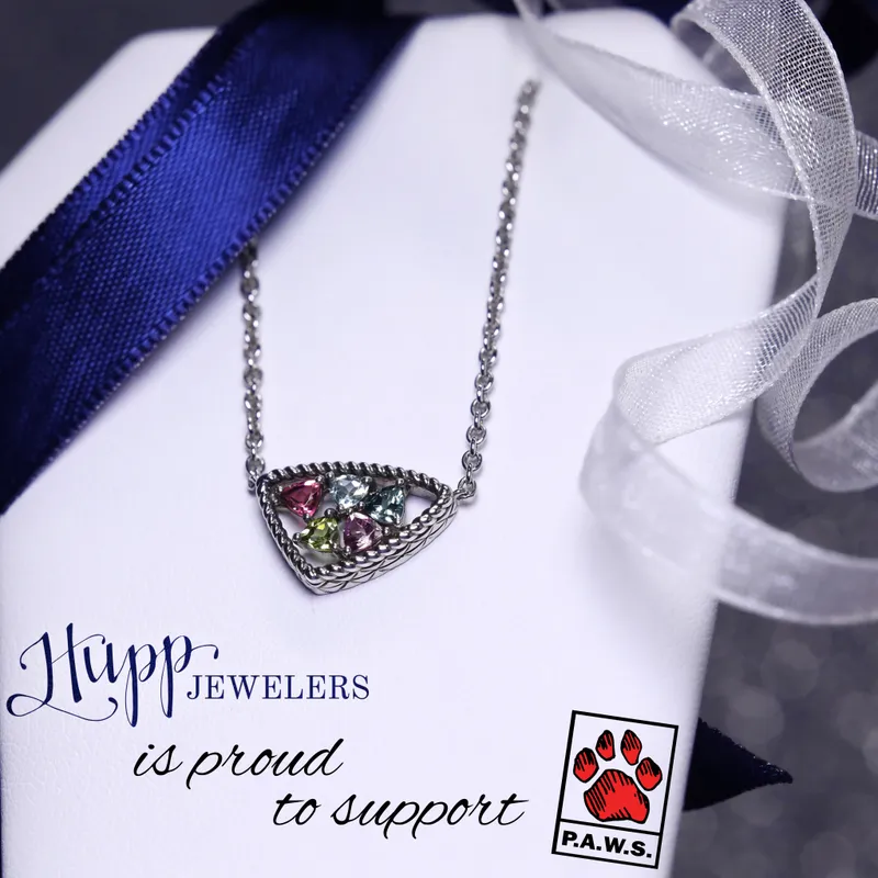 Read article: 2025 P.A.W.S Holiday Auction