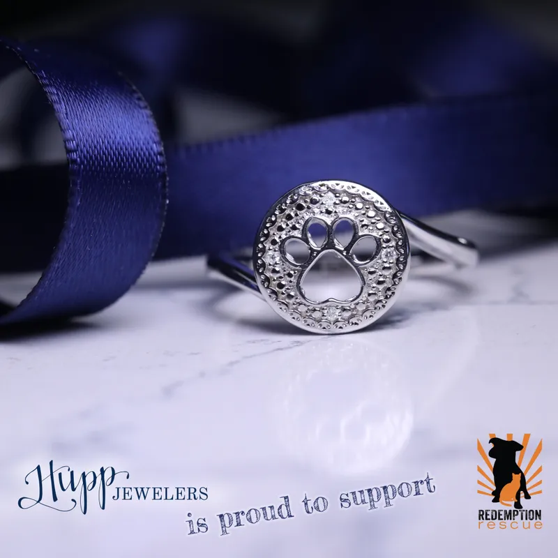 Read article: Redemption Rescue ~ 2026 Brunch Bingo