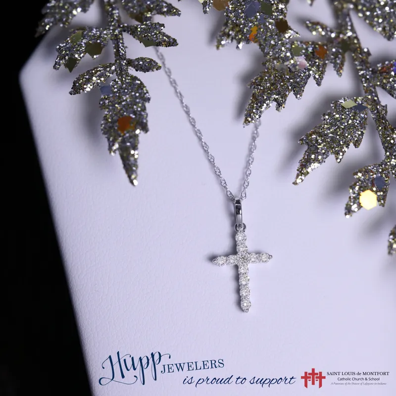 Read article: Mardi de Montfort Gala ~ 2026