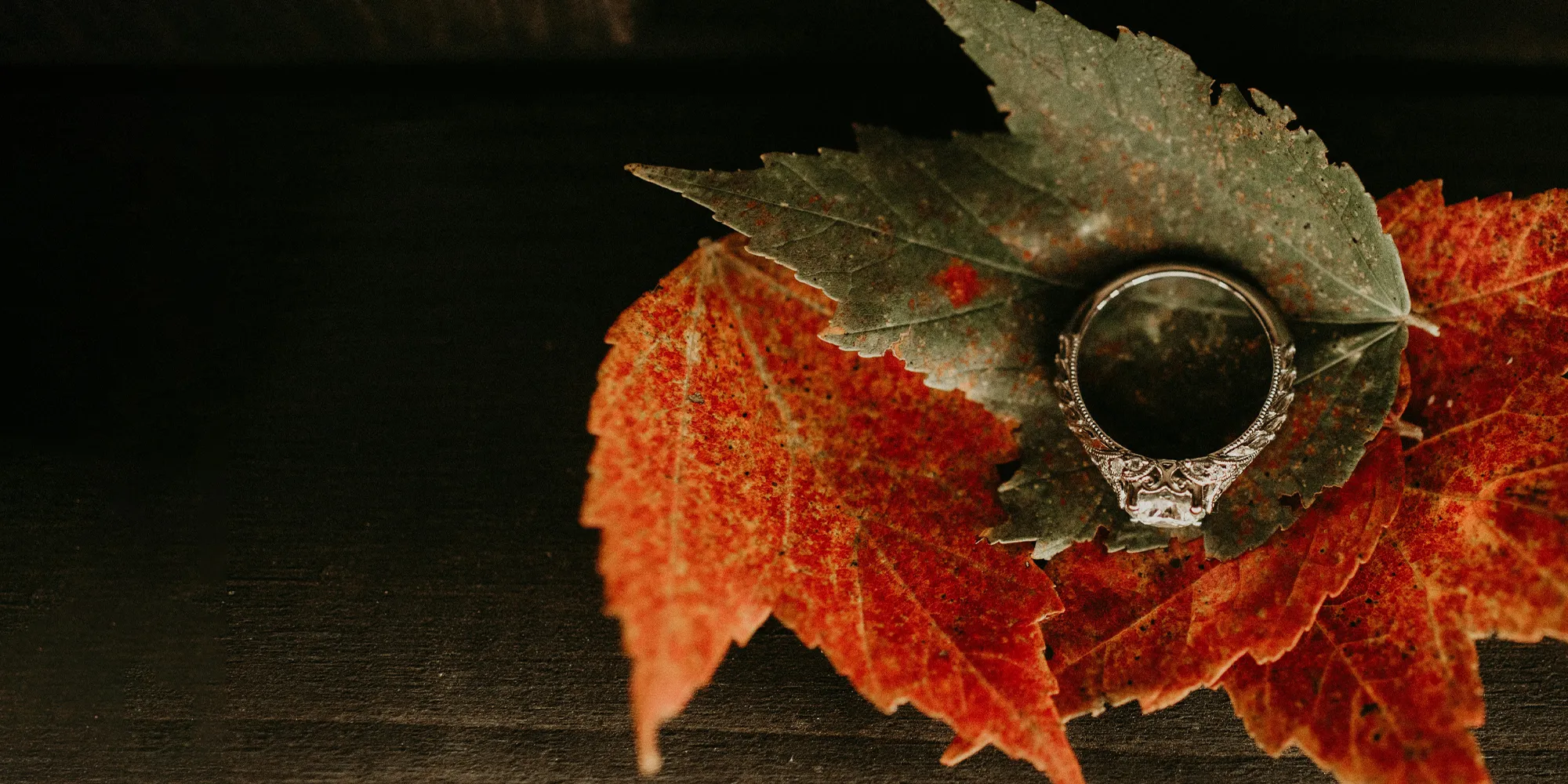 Engagement ring on autumn leaves. Click to learn about custom jewelry at J. Anthony Jewelers.