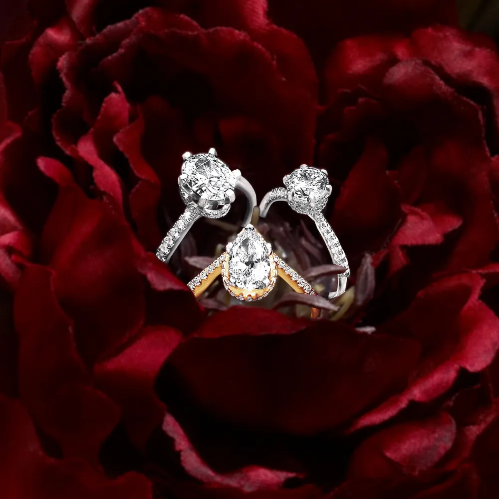 Three stunning diamond engagement rings nestled in a red rose. Visit J. Anthony Jewelers in Neenah for more.