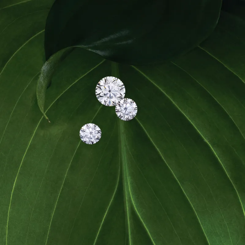 Your Widget Header Text Goes Here Lorem ipsum dolor sit amet consectetur adipiscing elit. JF Jones Jewelers Rochester, NY