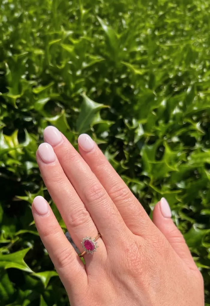 Hand with pink nails and a ruby ring against green holly leaves.