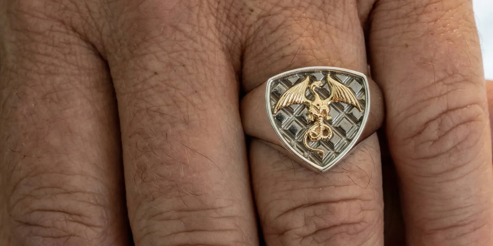 A hand wearing a ring with a gold dragon emblem on a textured silver shield.