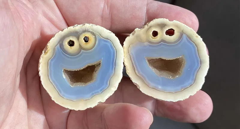 Cookie Monster Gobbles Up The Internet