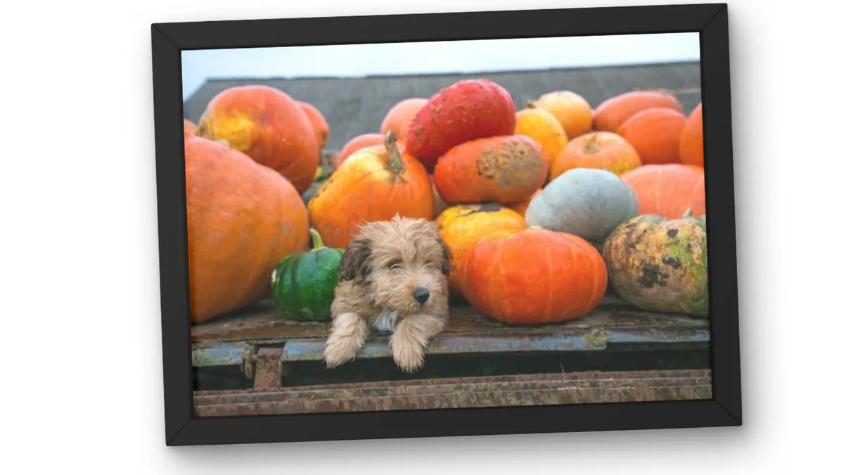 Read article: A Season of Gratitude and Sparkle at J. Thomas Jewelers